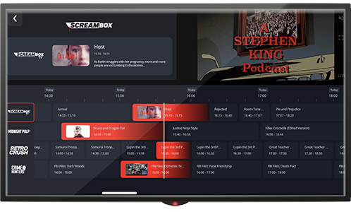 CTV ads that reach 10s of thousands of viewers monthly